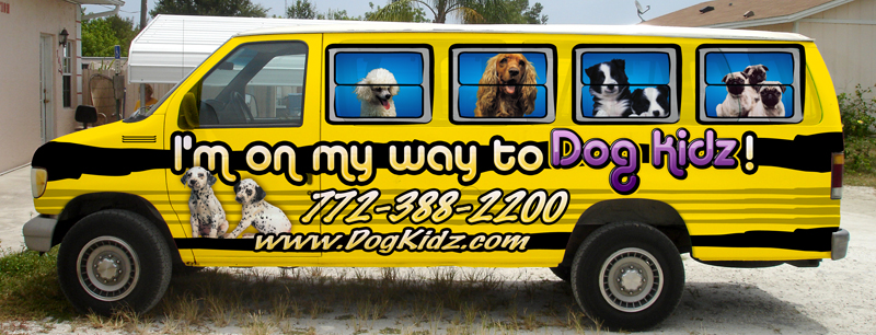 Dog Kidz Van