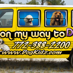 dogvan