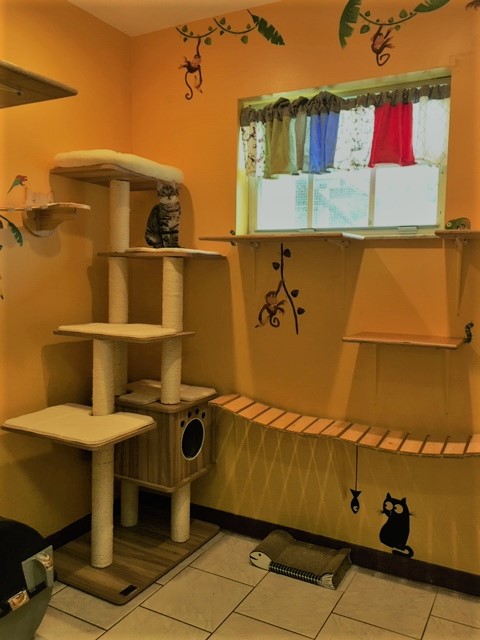 Deluxe Cat Room